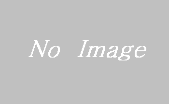 NoImage.gif(1875 byte)